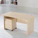 1200mm economic office desk