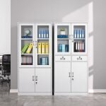2-Door Metallic Office Cabinet