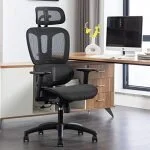 Generic Orthopedic Seat