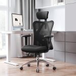 Orthopedic Ergonomic Office Seat