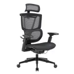 High-Back orthopedic office seat