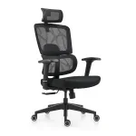 Orthopedic Office Boss Chair - Image 2