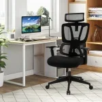 Ergonomic Orthopedic Office Chair