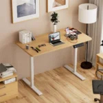 electric lift desk, standing workstation desk, desk with drawers, bamboo standing desk, wooden standing desk, white standing desk, black standing desk, oak standing desk, walnut standing desk, maple standing desk, steel frame desk, durable standing desk, premium standing desk, affordable standing desk, luxury office desk, commercial standing desk, professional office desk, ergonomic workspace, anti fatigue workspace, adjustable table desk, office desk electric, smart office furniture, standing study desk, student standing desk, adjustable writing desk,