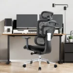 Office Chair, Ergonomic Office Chair, Mesh Office Chair, Leather Office Chair, Executive Office Chair, High Back Office Chair, Mid Back Office Chair, Low Back Office Chair, Swivel Office Chair, Adjustable Office Chair, Computer Office Chair, Task Office Chair, Manager Office Chair, Director Office Chair, Conference Office Chair, Visitor Office Chair,