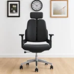 office chair, office chairs, ergonomic office chair, ergonomic office chairs, executive office chair, executive office chairs, manager office chair, manager office chairs, CEO office chair, CEO office chairs, mesh office chair, mesh office chairs, leather office chair, leather office chairs, swivel office chair, swivel office chairs, adjustable office chair