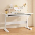 standing desk, adjustable standing desk, electric standing desk, height adjustable desk, sit stand desk, office standing desk, home office standing desk, ergonomic standing desk, standing computer desk, standing workstation, motorized standing desk, dual motor standing desk, single motor standing desk, adjustable office desk, office computer desk, executive standing desk, modern standing desk, wooden standing desk, steel frame standing desk, durable standing desk, compact standing desk,
