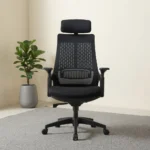 office chair, ergonomic office chair, executive office chair, mesh office chair, orthopedic office chair, leather office chair, high back office chair, mid back office chair, low back office chair, swivel office chair, adjustable office chair, computer chair, desk chair, task chair, executive desk chair, manager chair, director chair, CEO chair, staff office chair, visitor chair, guest chair, reception chair, conference chair,
